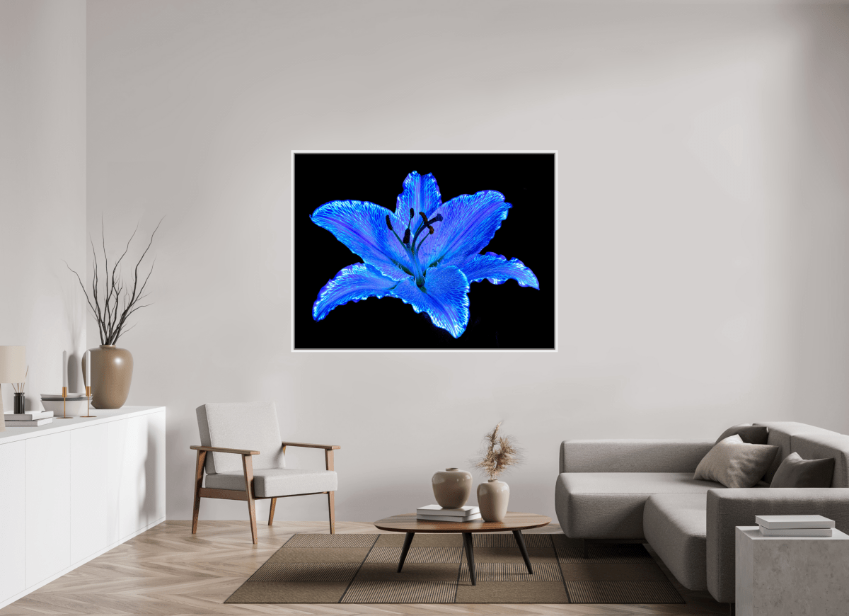 Le Lys Astral - Idealart