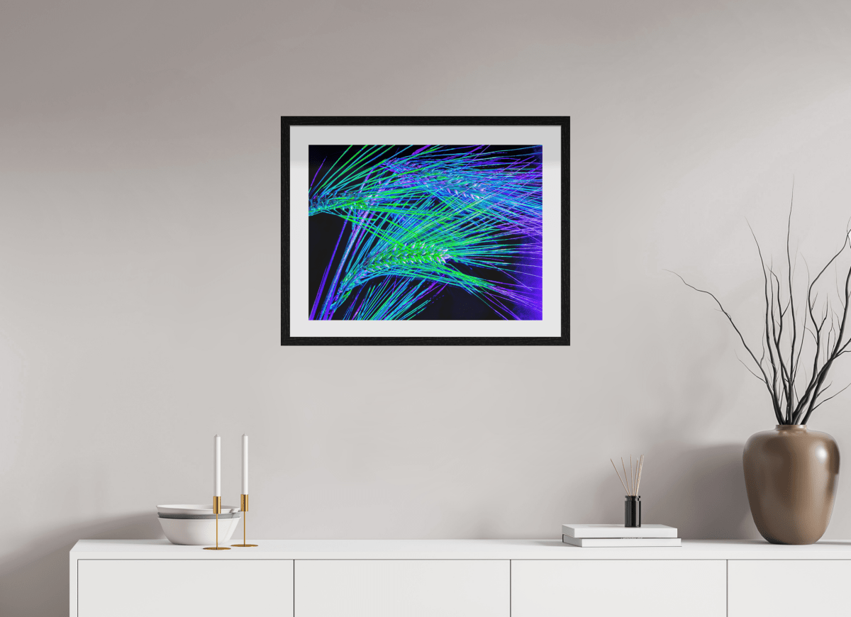 Les Lignes où Court la Lumière - Idealart