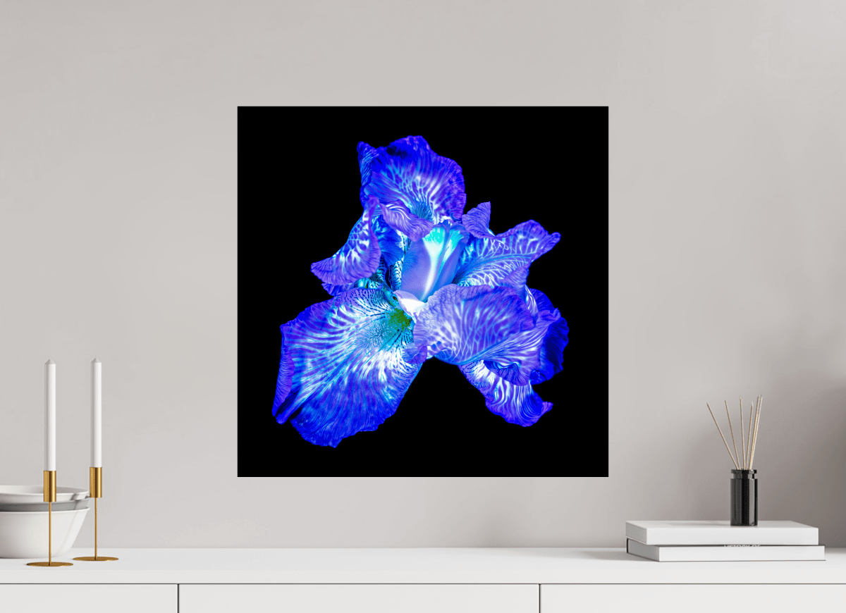 L’Opale des Ombres - Idealart