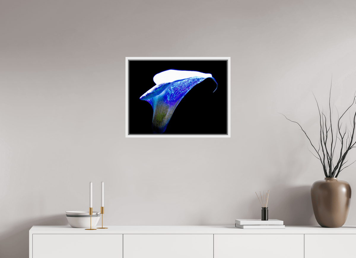 L’Aile de Lumière La Voix des Éthers - Idealart