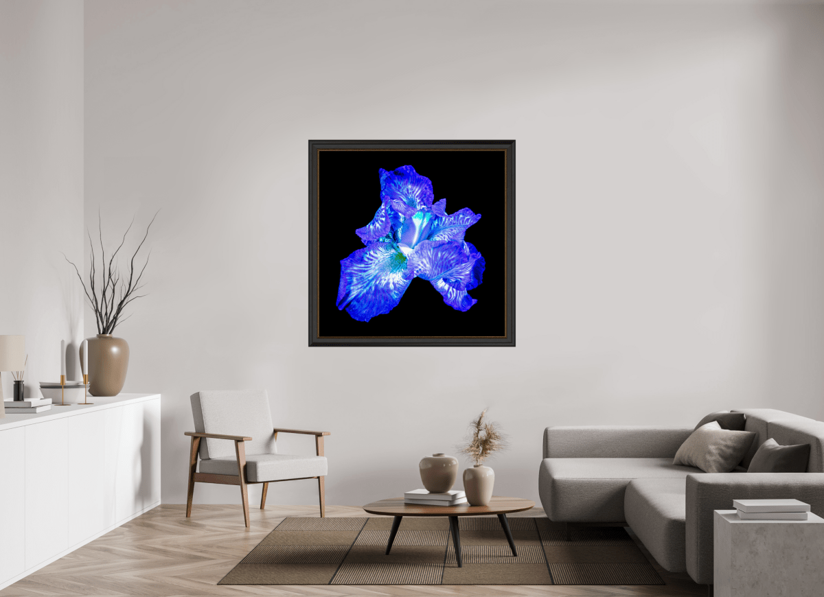 L’Opale des Ombres - Idealart