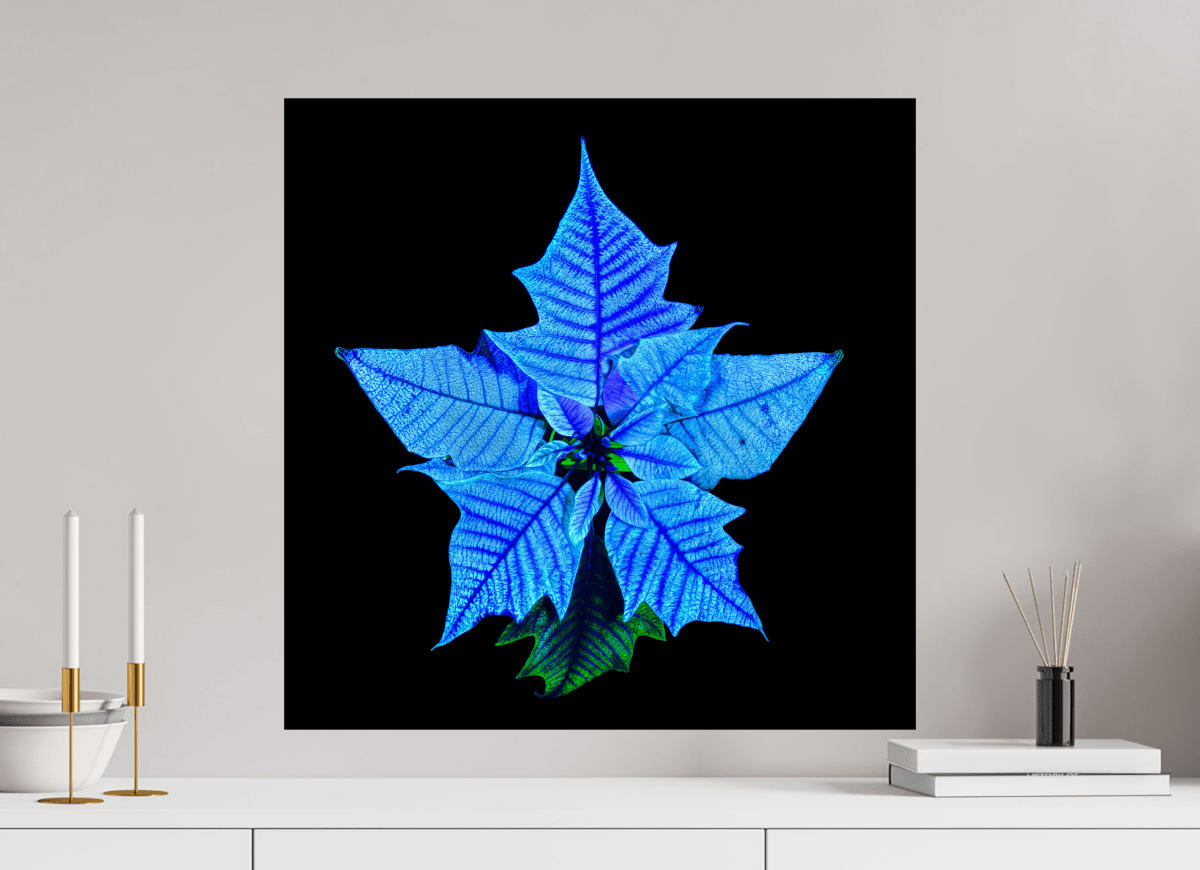 La Fleur Cosmique Qui Murmure Ton Nom - Idealart