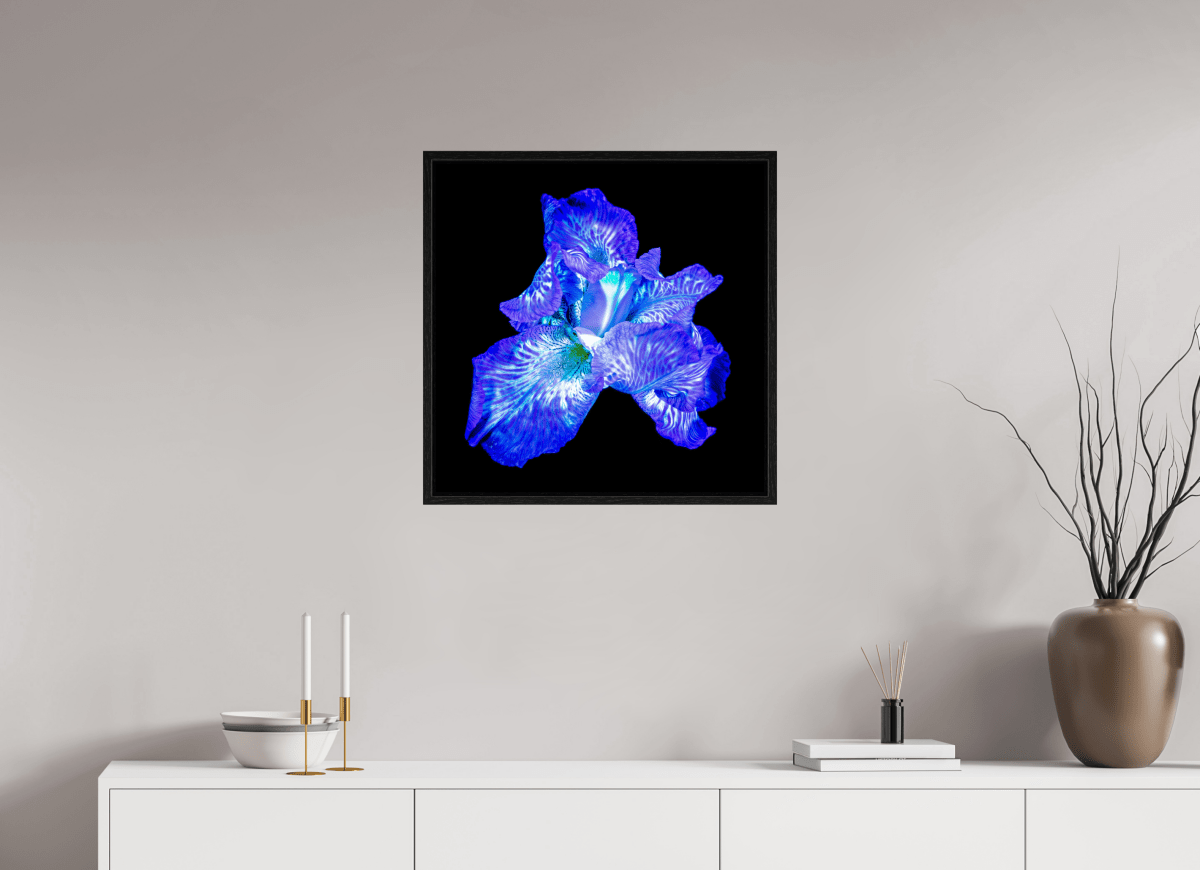 L’Opale des Ombres - Idealart