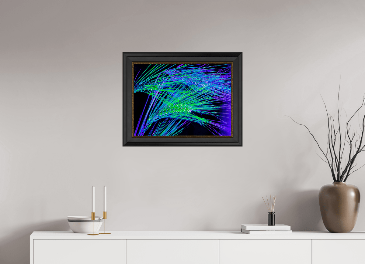 Les Lignes où Court la Lumière - Idealart