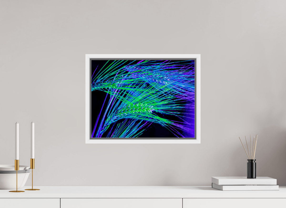 Les Lignes où Court la Lumière - Idealart