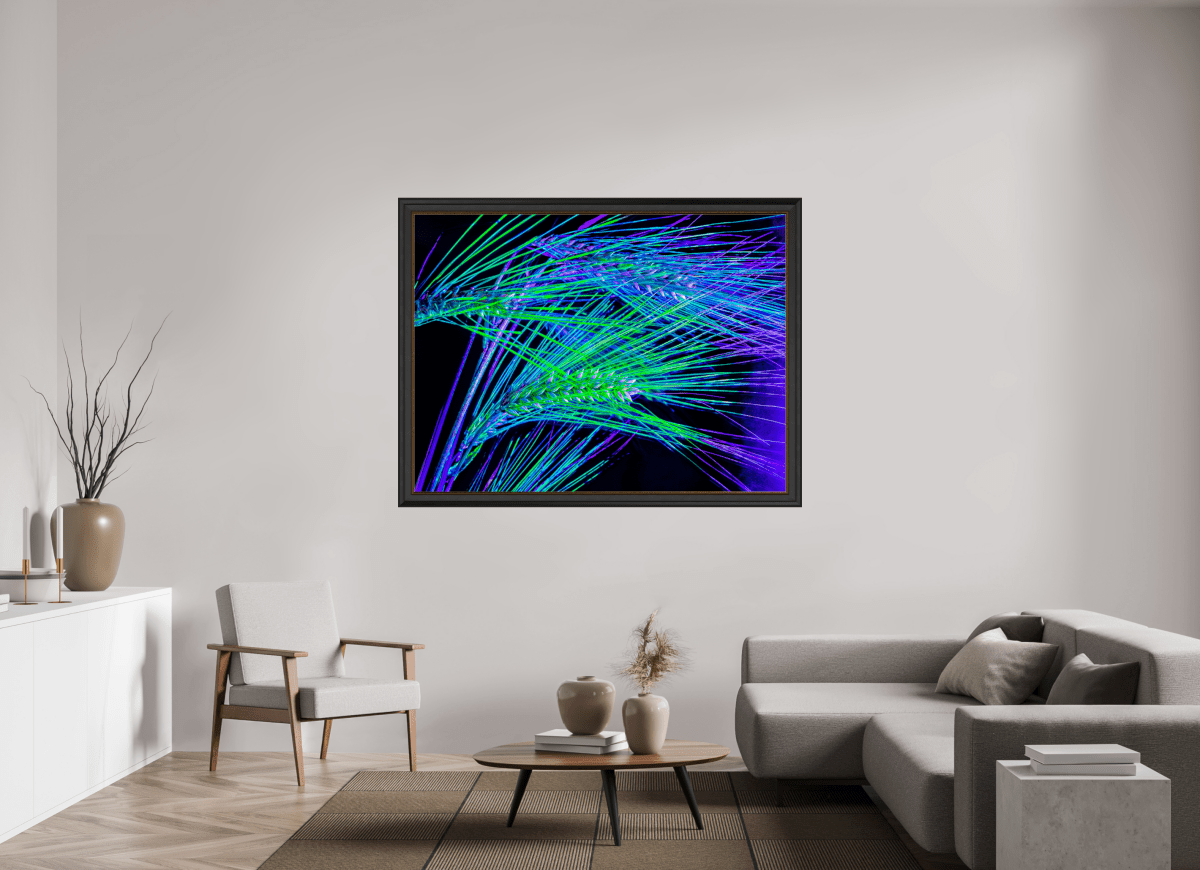 Les Lignes où Court la Lumière - Idealart