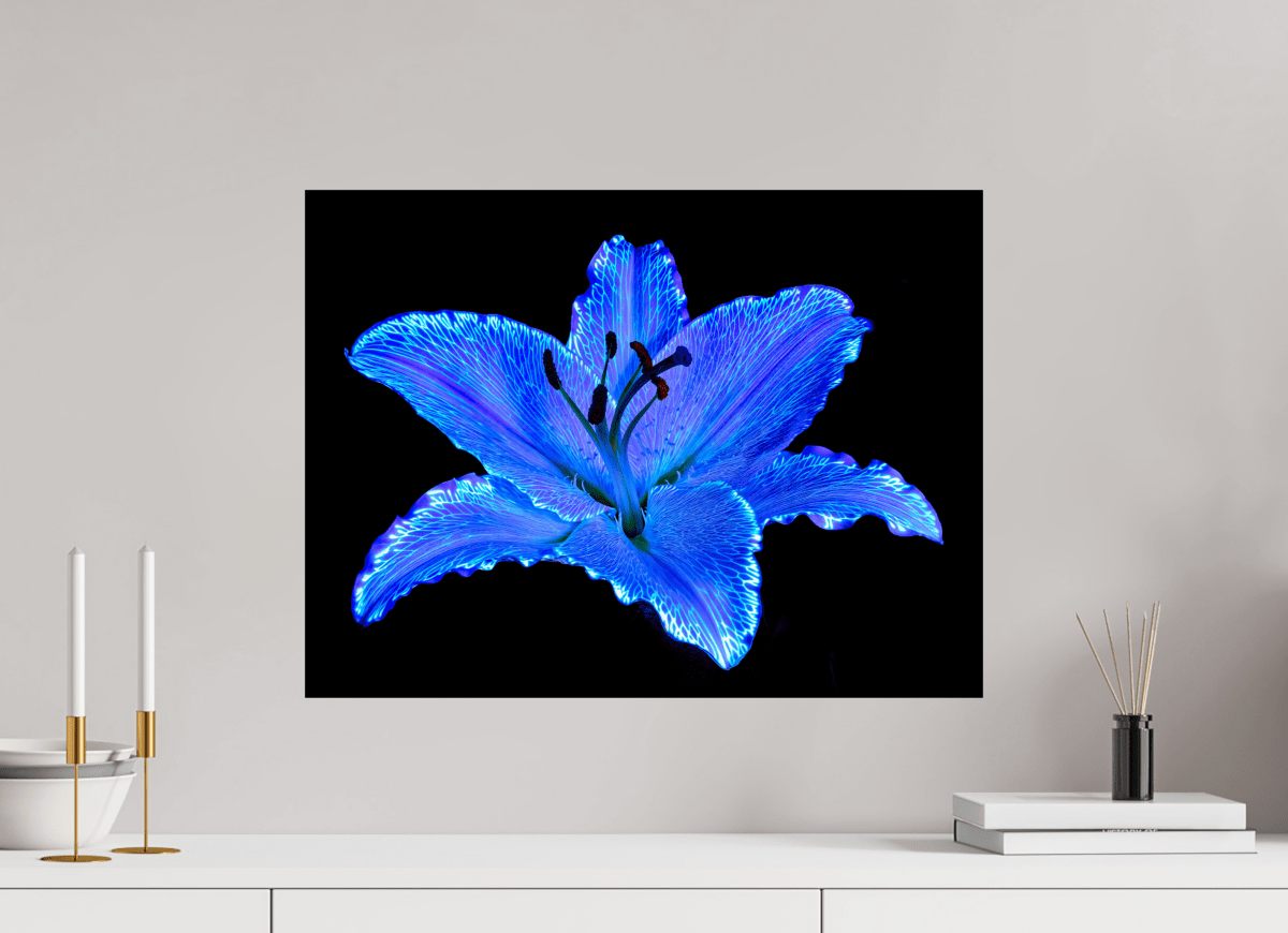 Le Lys Astral - Idealart