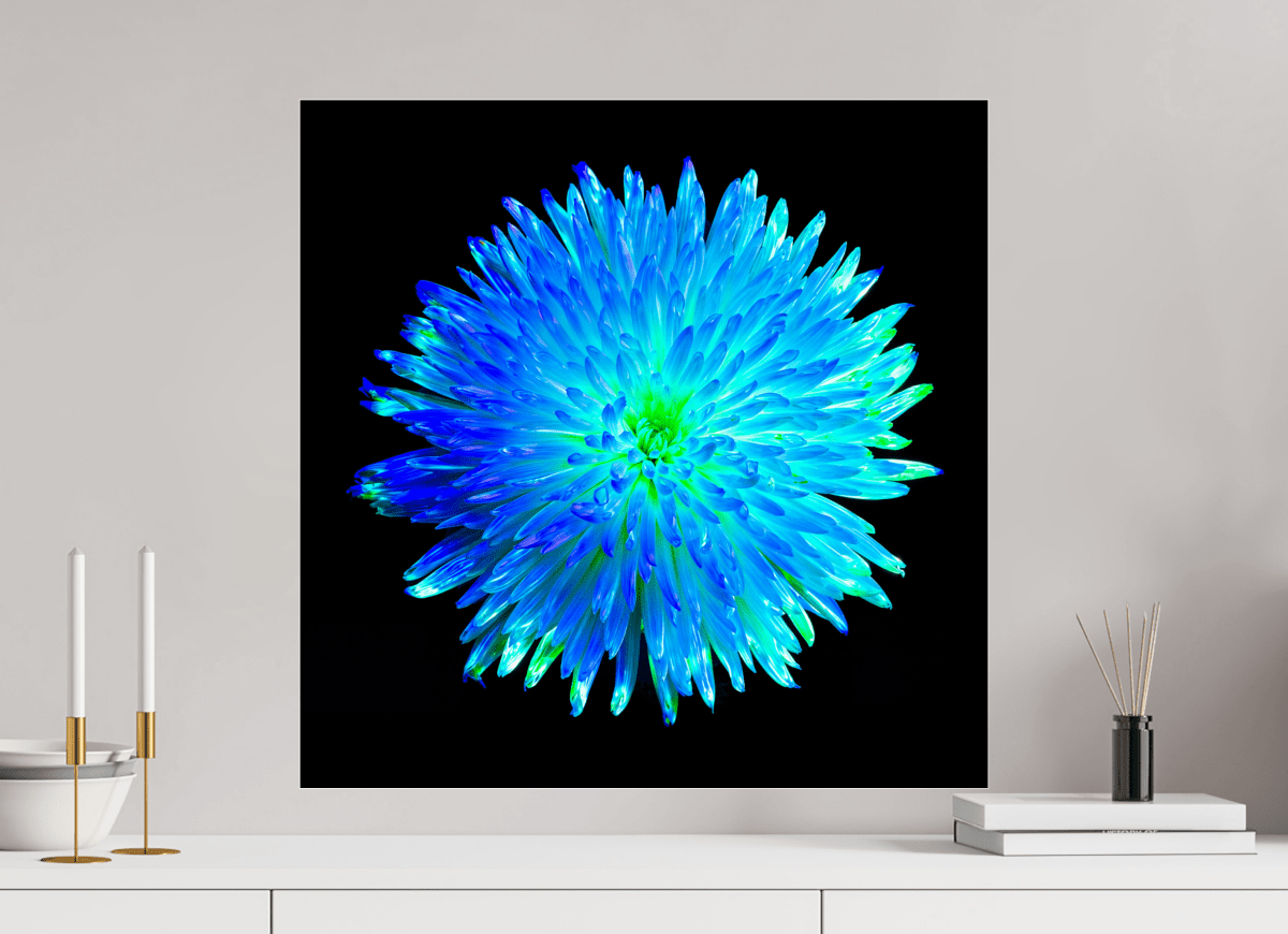 L’Astre Bleu - Idealart