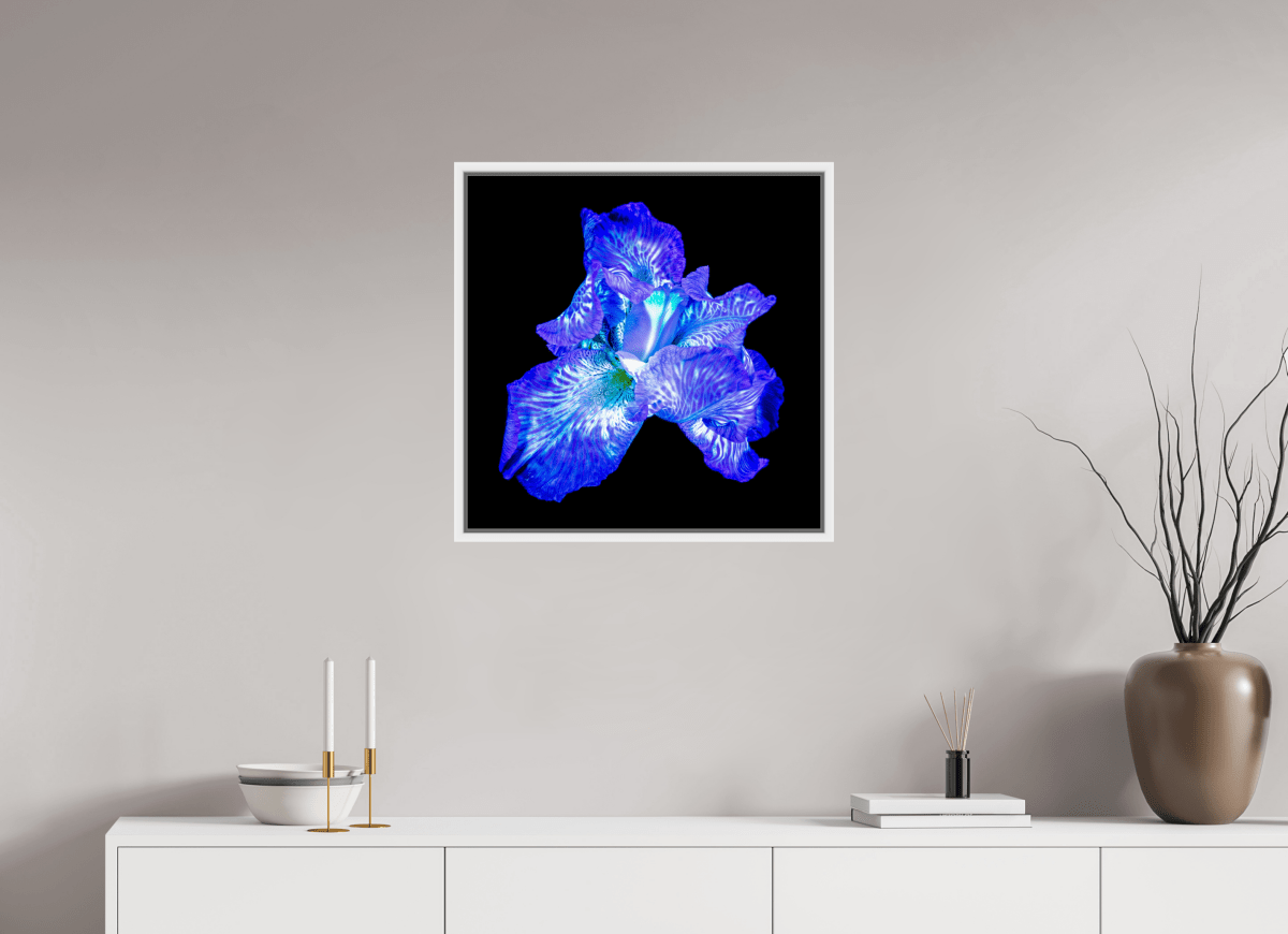 L’Opale des Ombres - Idealart