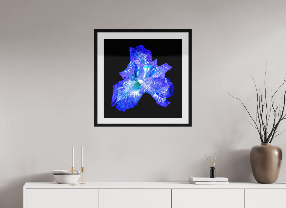 L’Opale des Ombres - Idealart