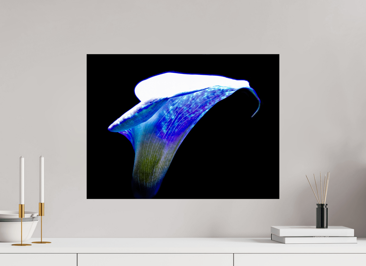 L’Aile de Lumière La Voix des Éthers - Idealart