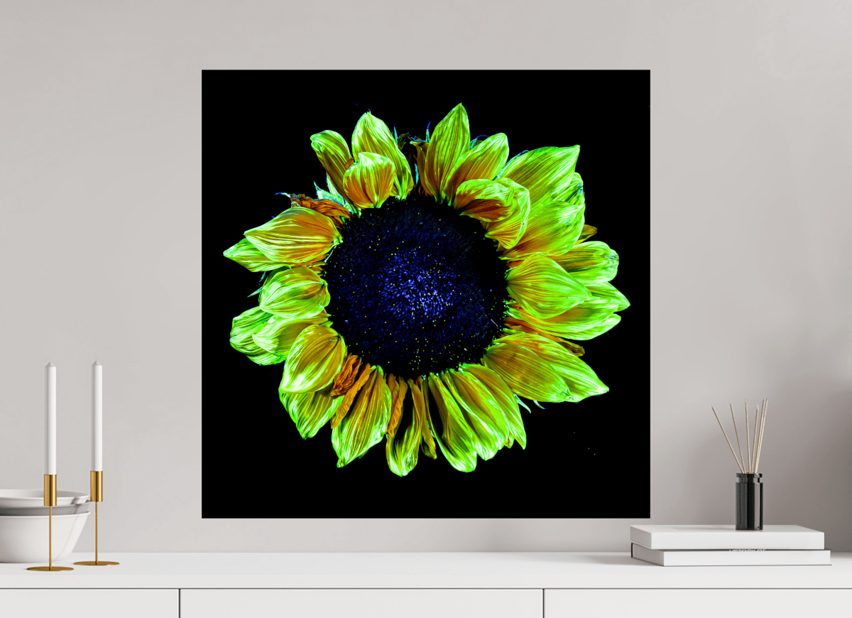 Couronne de lumière - Idealart