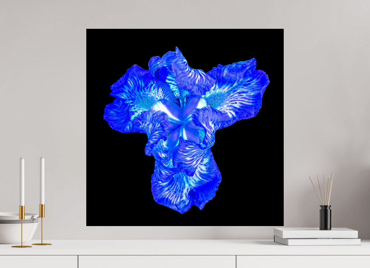 Iris du Cœur Lumineux - Idealart