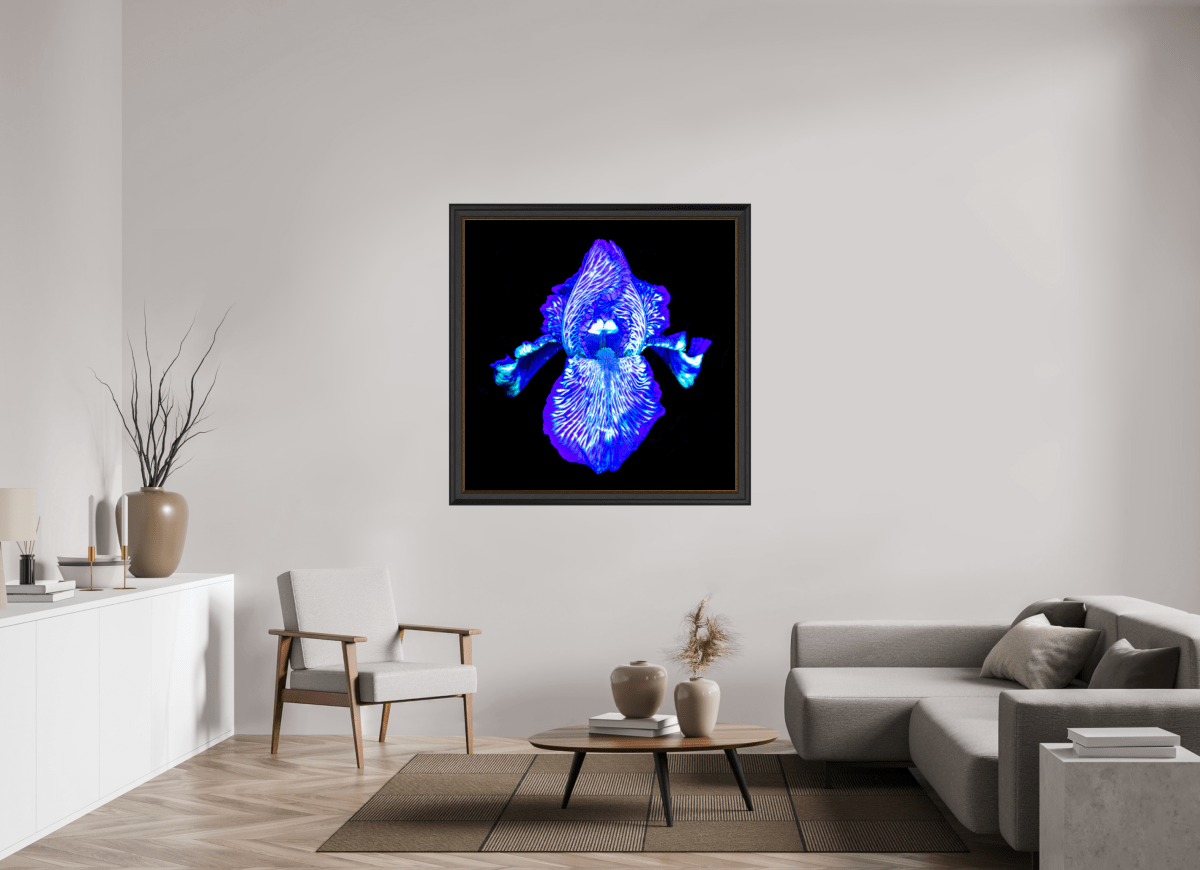 Iris des Profondeurs Lumineuses - Idealart