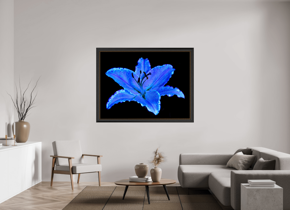 Le Lys Astral - Idealart