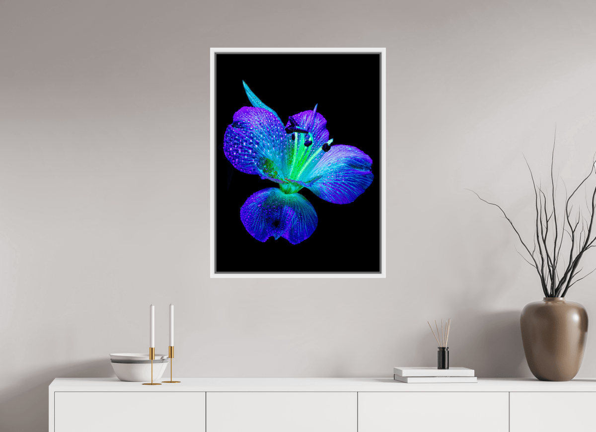 L’éclat des ailes dans la rosée - Idealart