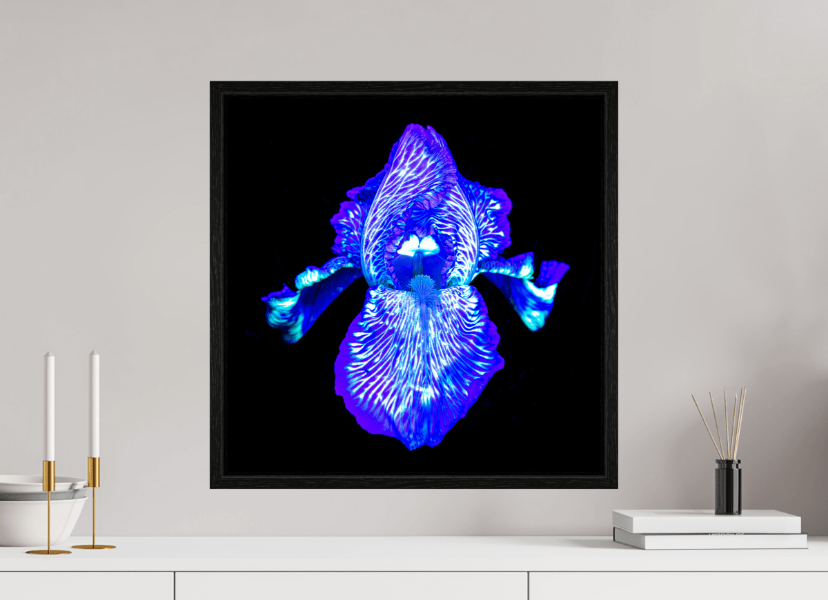 Iris des Profondeurs Lumineuses - Idealart