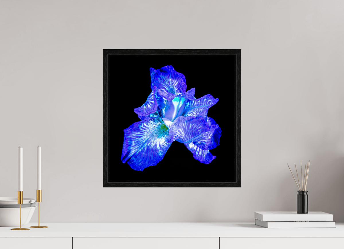 L’Opale des Ombres - Idealart