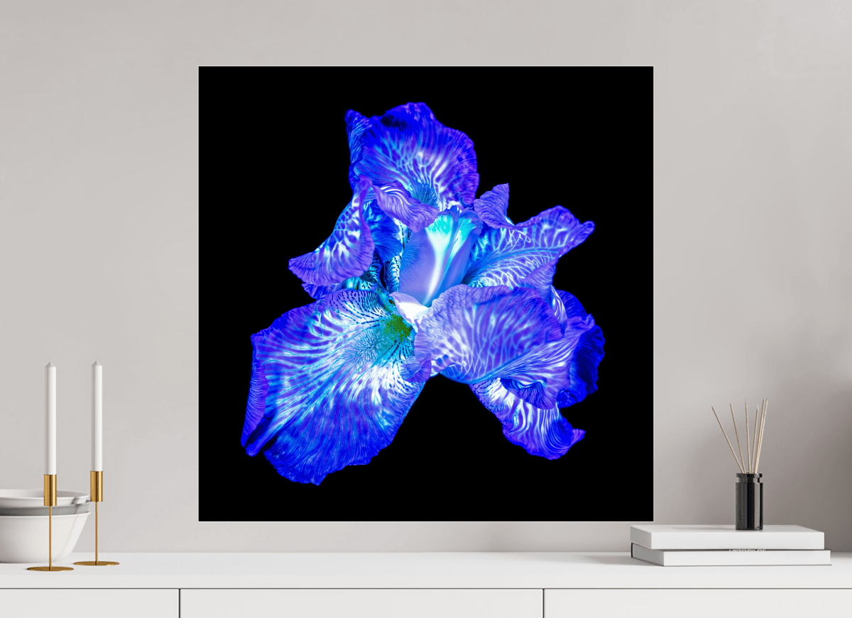 L’Opale des Ombres - Idealart